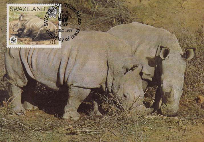 Swaziland 1987  Y&T  525/28  rhinocéros sur 4 CM