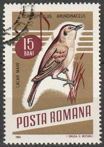 Timbre oblitéré n° 2213(Yvert) Roumanie 1966 - Oiseau, rousserolle turdoïde