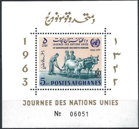 Afghanistan - 1963 - Y & T n° 41E Blocs & feuillets - MNH