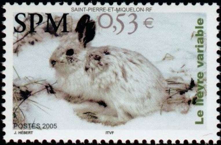 SAINT-PIERRE et MIQUELON  2005  N° YT 855 Neuf **