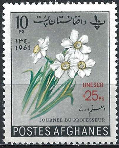 Afghanistan - 1961 - Y & T n° 592 - MNH