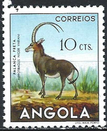 Angola - 1953 - Y & T n° 358 - MNH