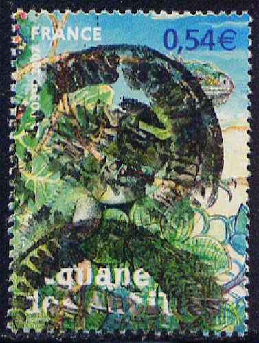 Timbre oblitéré n° 4033(Yvert) France 2007 - Iguane des Antilles