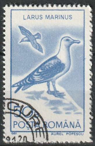 Timbre oblitéré n° 3921(Yvert) Roumanie 1991 - Oiseau, goéland marin