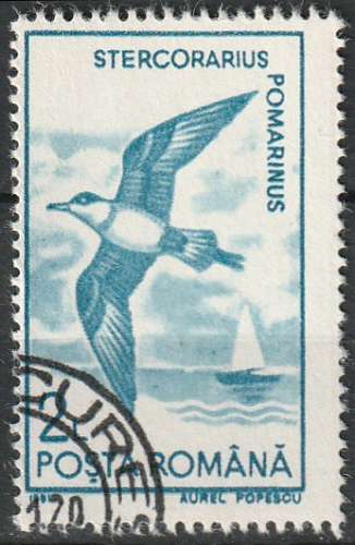 Timbre oblitéré n° 3924(Yvert) Roumanie 1991 - Oiseau, labbe pomarin