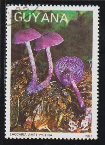 GUYANA 1988  - Y&T N° 1769MM