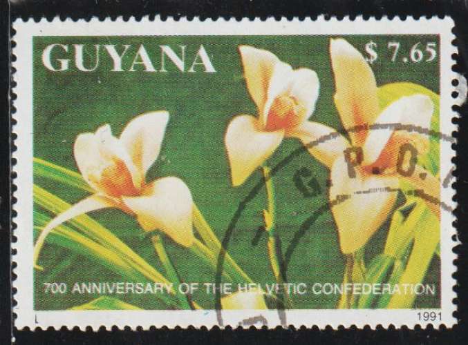 GUYANA 1991  - Michel N° 3577