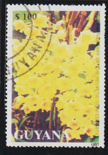 GUYANA 1991  - Michel N° 3579