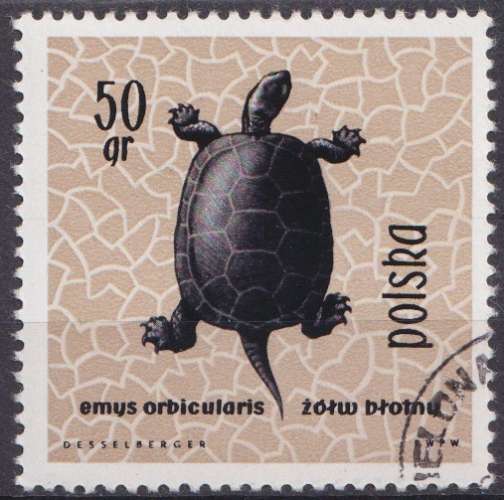 Pologne 1963 Y&T 1261 oblitéré - Tortue d'eau 