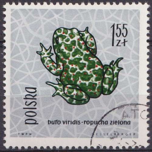 Pologne 1963 Y&T 1267 oblitéré - Crapaud vert 