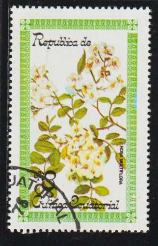 GUINEE EQUATORIALE 1979 - Y&T N° 126D