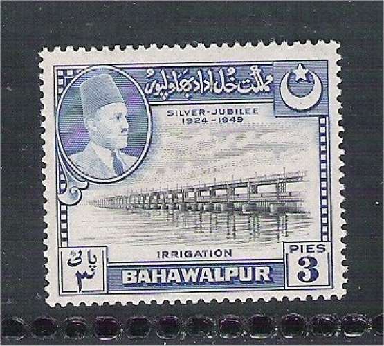 Pakistan - Bahawalpur - Scott 22 mh