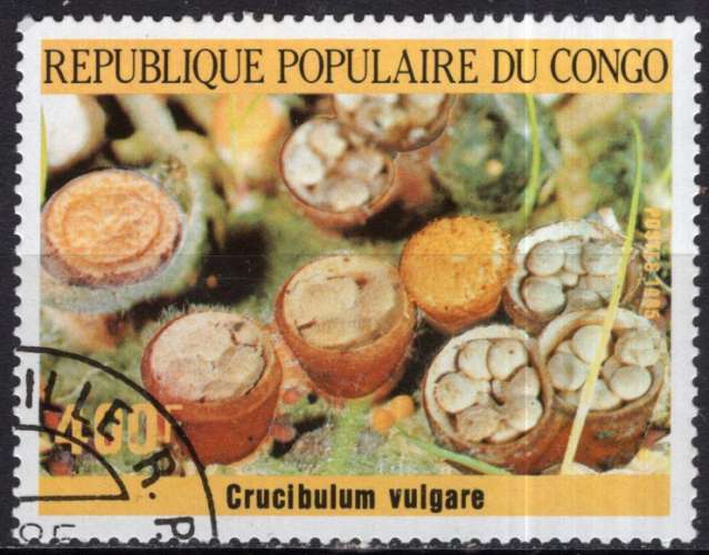 CONGO 1985 LES CHAMPIGNONS  OBLITERE