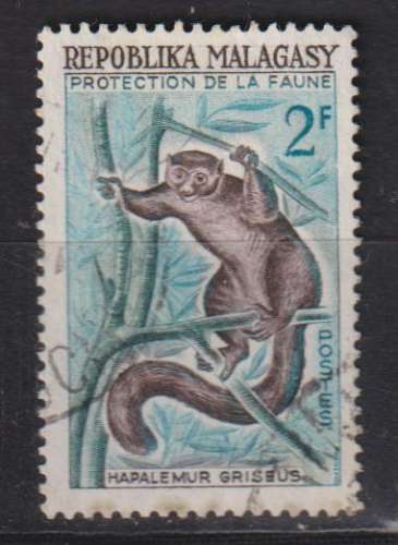 MADAGASCAR   1961  Y T N °357 oblitéré