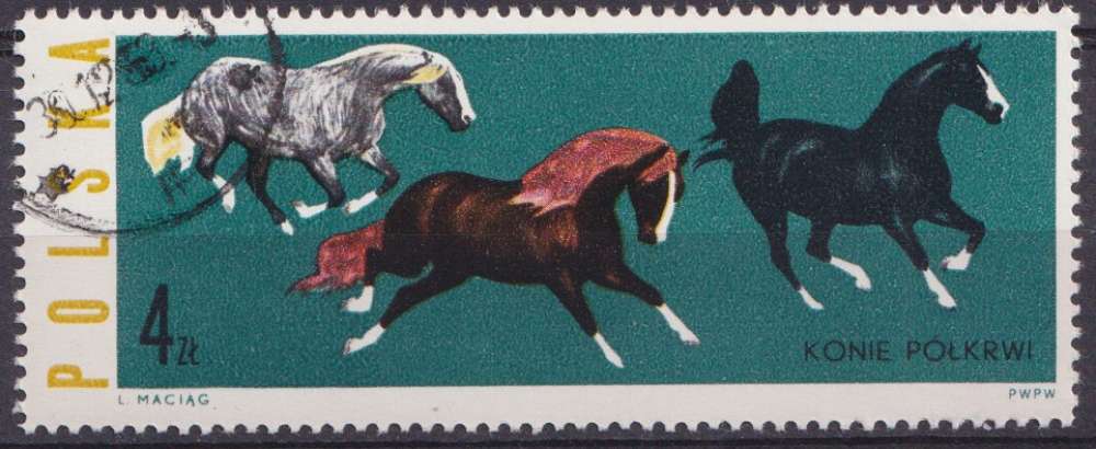 Pologne 1963 Y&T 1320 oblitéré - Cheval, chevaux 