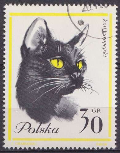 Pologne 1964 Y&T 1332 oblitéré - Chats 