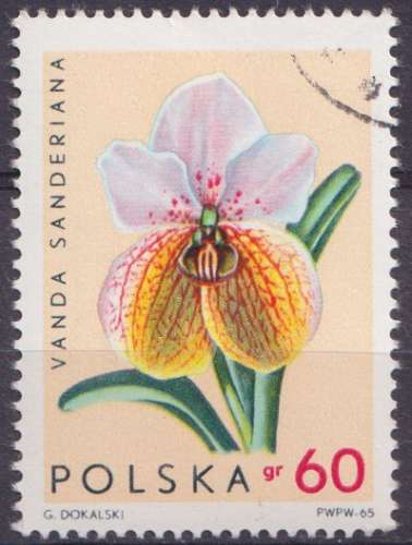 Pologne 1965 Y&T 1467 oblitéré - Fleurs - Orchidées 