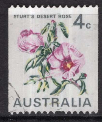 AUSTRALIE 1970  FLEURS  LES ROSES DU DESERT OBLITERE