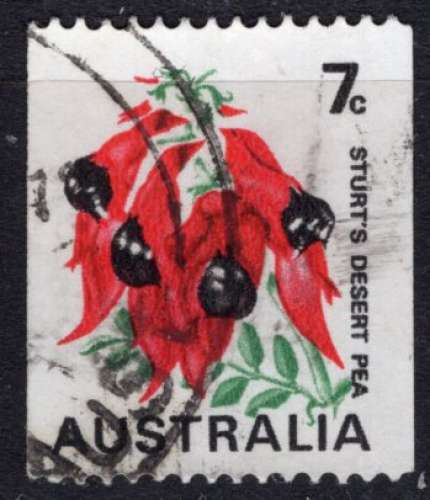 AUSTRALIE 1971 FLEURS LE POIS DU DESERT  OBLITERE