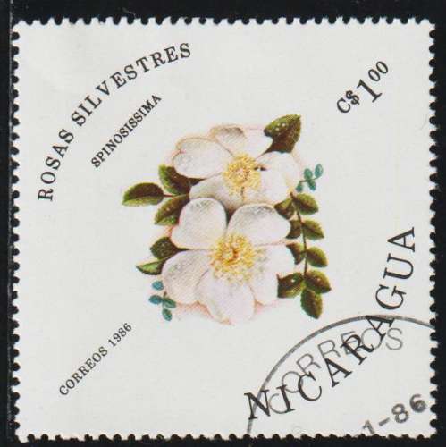 NICARAGUA 1986 -  Y&T N° 1404