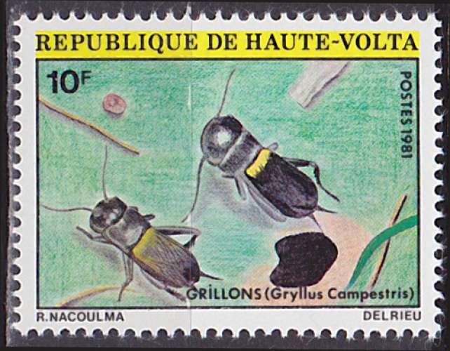 Timbre neuf ** n° 536(Yvert) Haute-Volta 1981 - Insectes, grillons