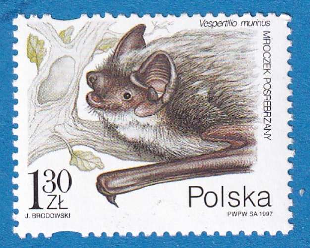 Pologne 1997 Chauve souris. Vespertilio murinus C1