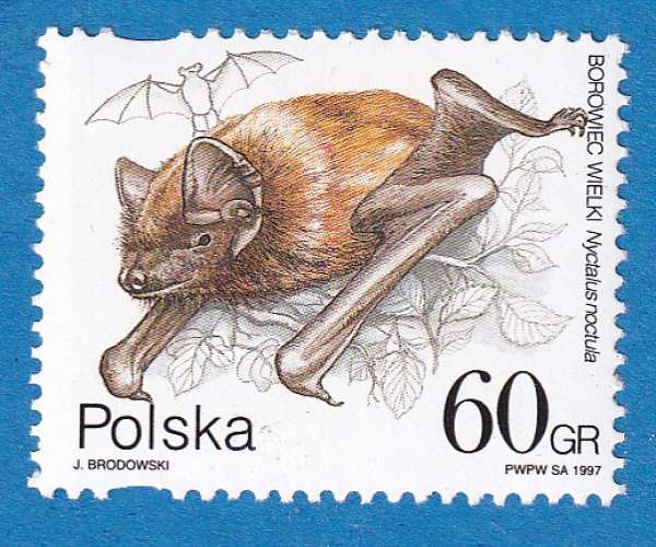 Pologne 1997 Chauve souris. Nyctalus noctula C1