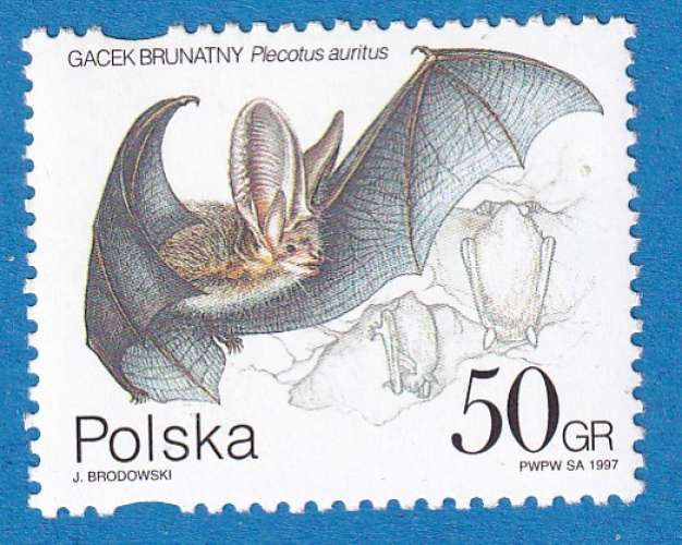 Pologne 1997 Chauve souris. Plecotus auritus C1