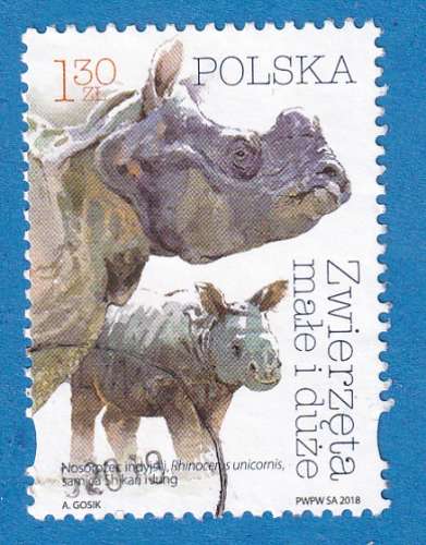 Pologne 2018 Animaux. Rhinoceros unicornis. C2