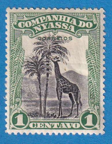 Nyassa 1921 Giraffa camelopardalis. C2