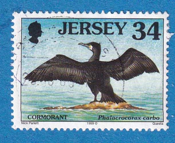 Jersey 1999 Oiseaux. Phalacrocorax carbo. C2