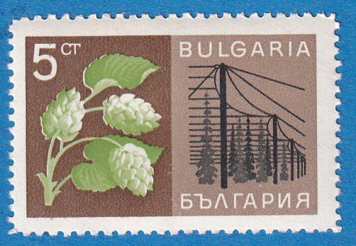 Bulgarie 1967 Agriculture. Houblon. C2