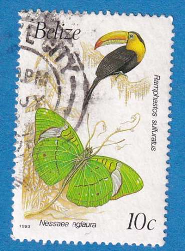 Belize 1990 Rhamphastos sulfuratus et nessaea aglaura. C3