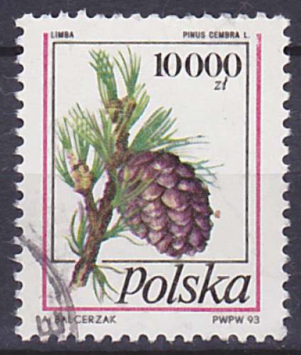 Timbre oblitéré n° 3252(Yvert) Pologne 1993 - Pomme de pin