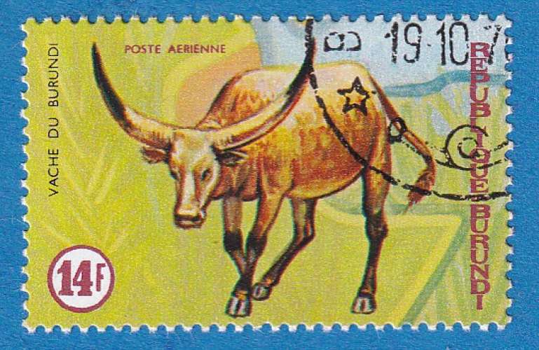 Burundi 1970 Source du Nil. Vache du Burundi. C3