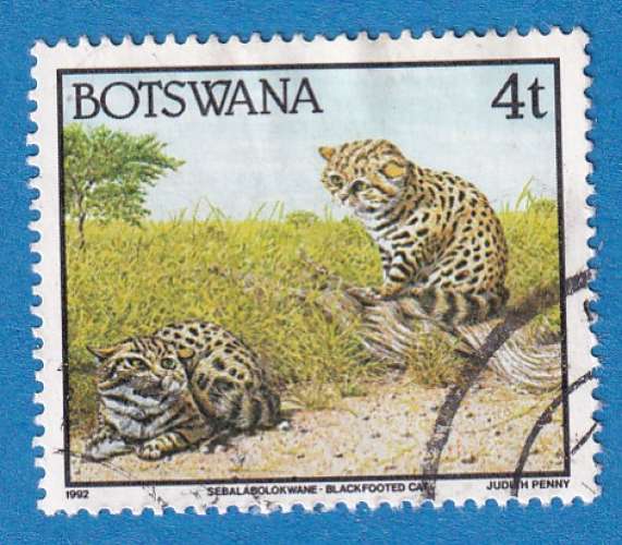 Botswana 1992 Faune. Felis nigripes. C4