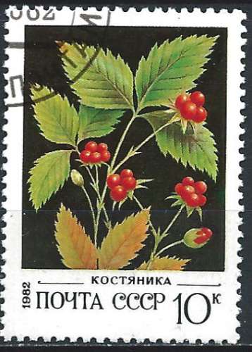 Russie - 1982 - Y & T n° 4889 - O.