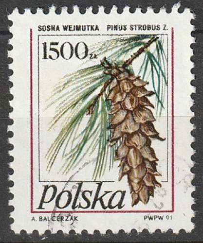 Timbre oblitéré n° 3118(Yvert) Pologne 1991 - Pomme de pin