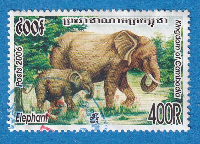 Cambodge 2006 Elephants. Elephas maximus. C5