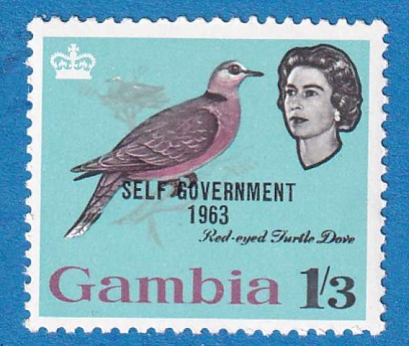 Gambie 1963 Nouvelle constitution. Streptopelia semitorquata C7