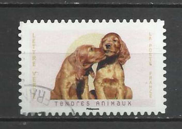 FRANCE 2023 -cvc- Tendres Animaux CHIOT