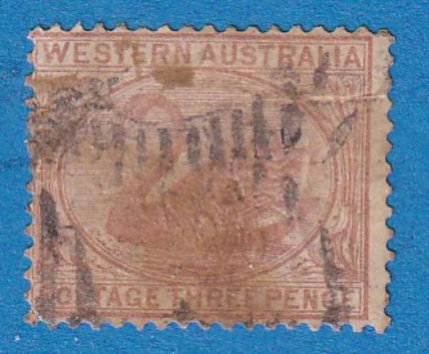 Australie occidentale 1905 Cygne noir. Cygnus atratus. C8