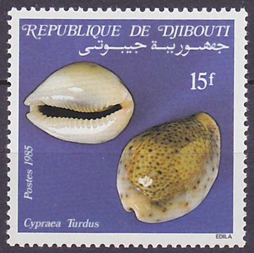 Timbre neuf ** n° 610(Yvert) Djibouti 1985 - Coquillage