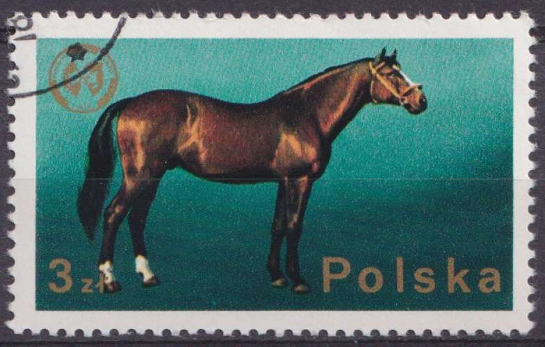 Pologne 1975 Y&T 2221 oblitéré - Cheval, chevaux 