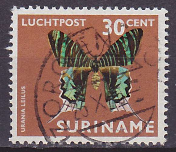 Timbre PA oblitéré n° 43(Yvert) Surinam 1972 - Papillon