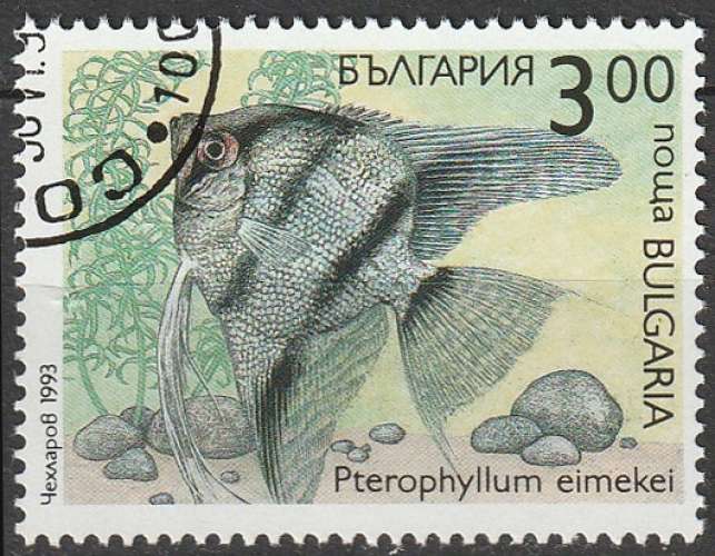 Timbre oblitéré n° 3509(Yvert) Bulgarie 1993 - Poisson