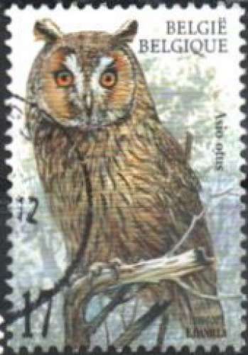 Hibou moyen duc (asio otus) (1999)  - YT 2808 *