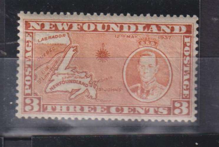 NZWFOUNDLAND  Y T N °  209 neuf*  charnière