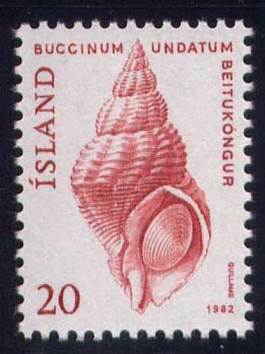 Timbre neuf ** n° 529(Yvert) Islande 1982 - Coquillage