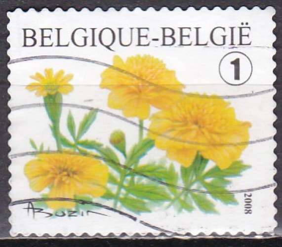 BELGIQUE N° 3767 de 2008 oblitéré 